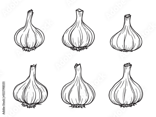 Forest garlic Outline Design
