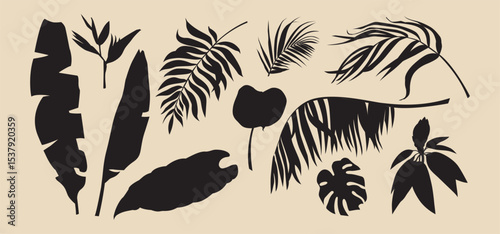 Silhouettes of palm leaves set. Vector graphics for summer designs. A collection of tropical jungles. An idea for creating posters, postcards, invitations, cards, banners