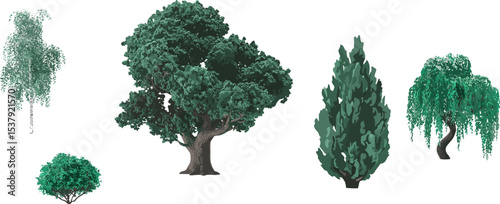 Different types of trees illustration, botanical tree collection, green foliage set, landscape design elements, various species trees, natural forest vegetation, isolated vector