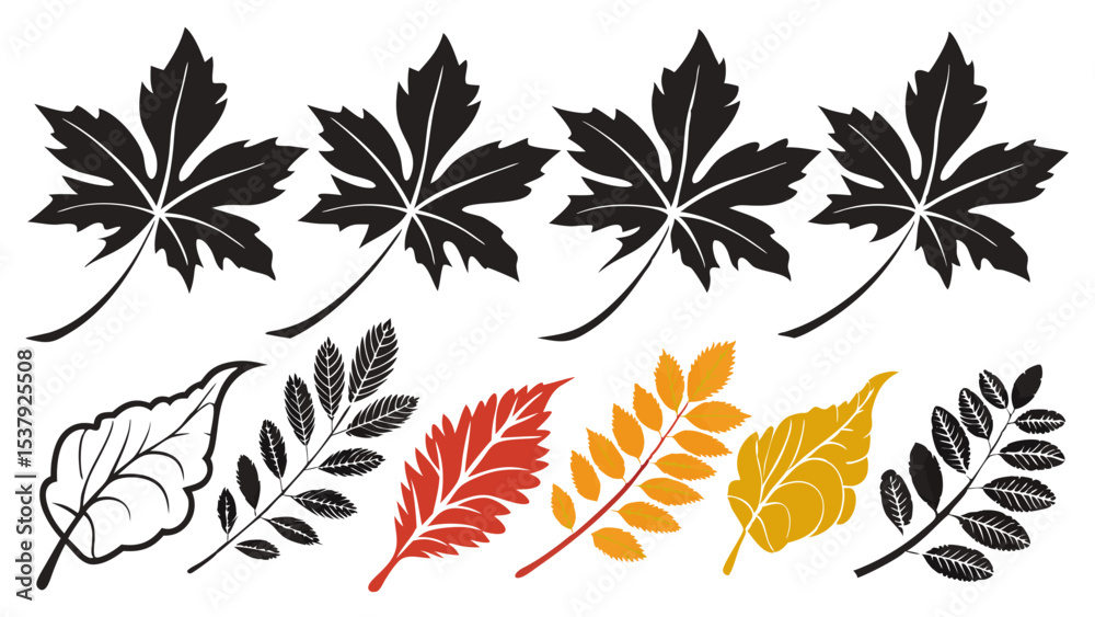 Fototapeta premium Colorful vector set of various natural autumn leaves