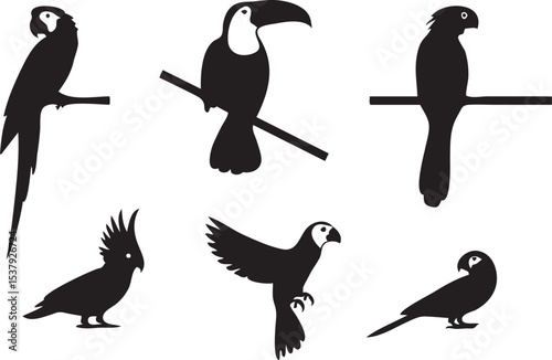Tropical Toucan Bird Standing Silhouette Icon in Clean Flat Style