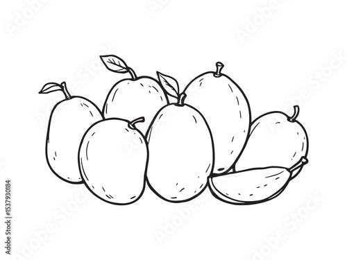 Mango line art sketch