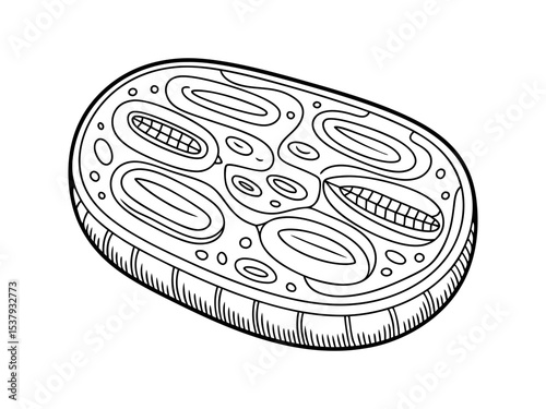 Vintage engraving style cell vector illustration