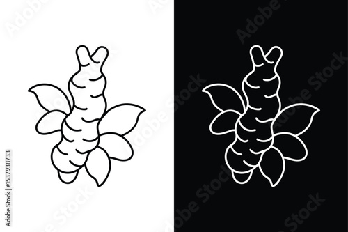 Flat Ginger Root Line Art. Black White Contour Icon for Herb Graphics
