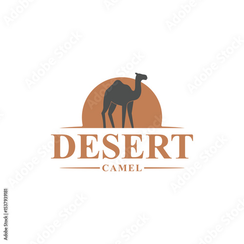 camel in desert vector illustration