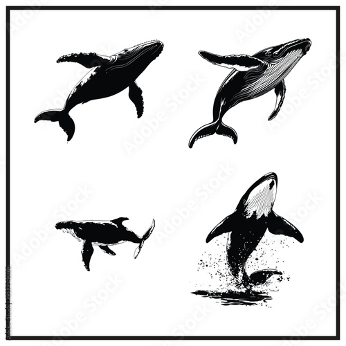 Whale Breaching Clipart Silhouette