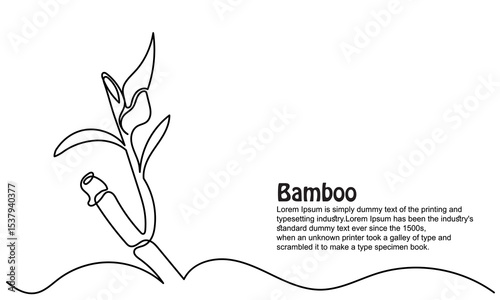 continuous line of bamboo. Single line bamboo tree drawing for a plantation logo. Evergreen, flowering plant icon with a modern, minimal vector style.