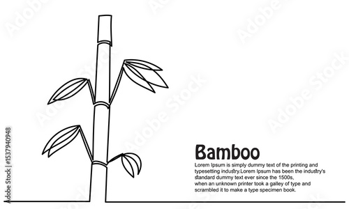 continuous line of bamboo. Single line bamboo tree drawing for a plantation logo. Evergreen, flowering plant icon with a modern, minimal vector style.