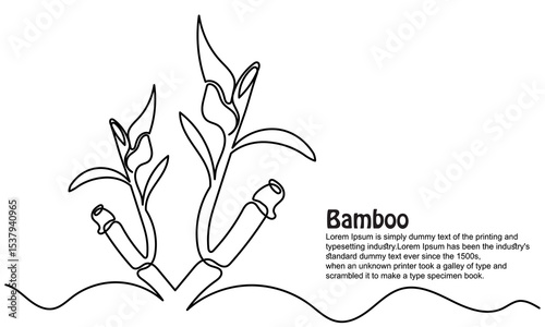 continuous line of bamboo. Single line bamboo tree drawing for a plantation logo. Evergreen, flowering plant icon with a modern, minimal vector style.