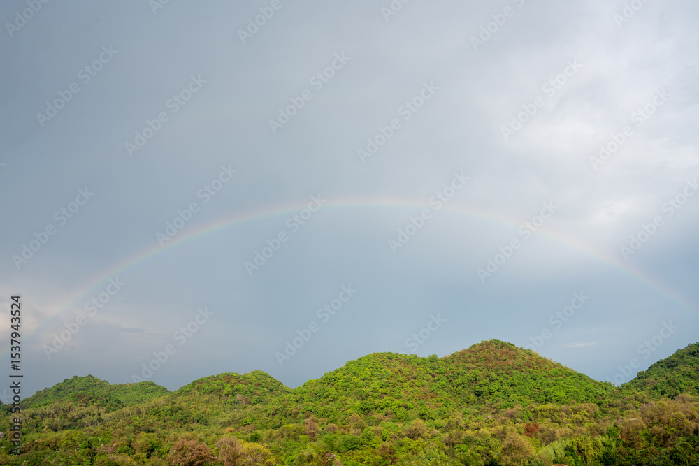 Naklejka premium A vibrant rainbow arches over lush green hills beneath a cloudy sky, creating a serene and uplifting natural landscape after the rain. Ideal for themes of hope, nature, weather, and tranquility.