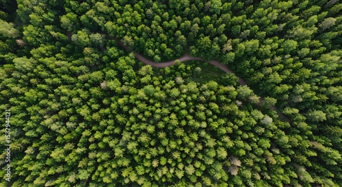 Aerial Drone View of Serene Natural Landscape