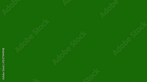 Wallpaper Mural Animated circle burst and firework-style line explosion. Black screen 4K visual loop for holiday videos and event titles. Torontodigital.ca