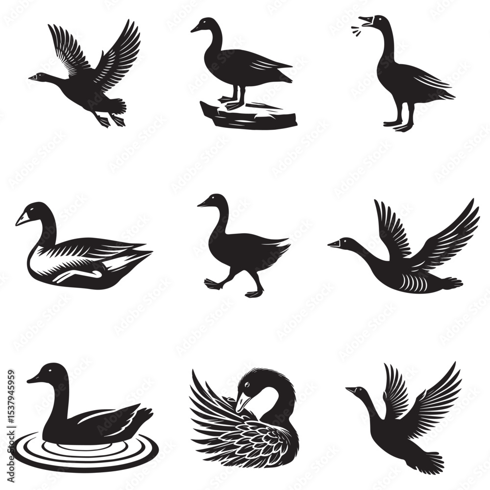 Obraz premium bundle of funny goose silhouette clipart, domestic animal goose art, cute goose design sublimation 