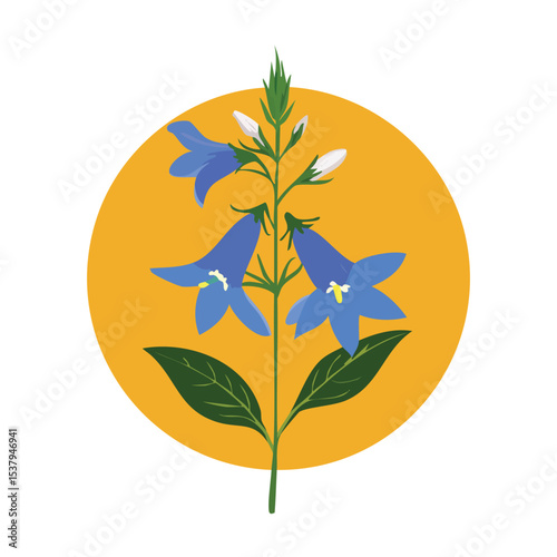 Lobelia Cardinalis Botanical Illustration of the Cardinal Flower Species in a Natural Floral Style
