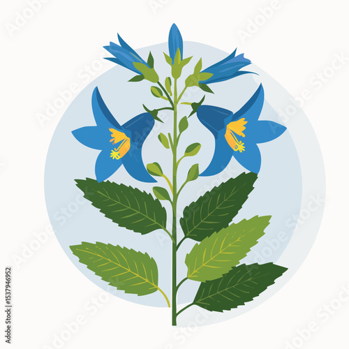 Lobelia Cardinalis Botanical Illustration of the Cardinal Flower Species in a Natural Floral Style