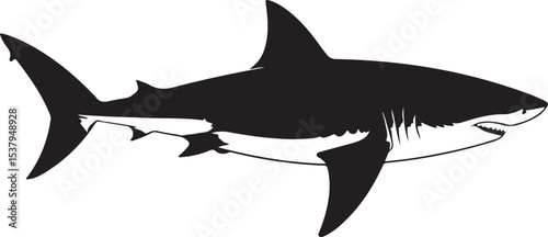 silhouette of a shark vector
