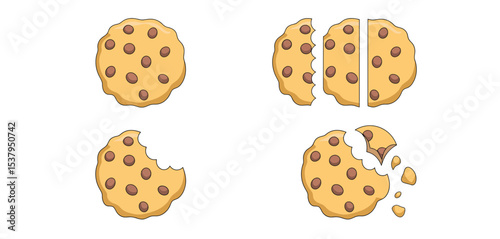 Delicious Chocolate Chip Cookies in Various Stages