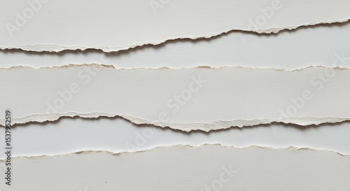 Torn Paper Strips on White Background