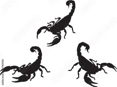 set of scorpion silhouettes