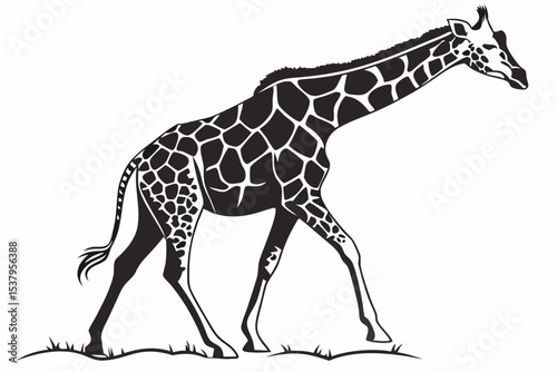 giraffe sihouette black vector