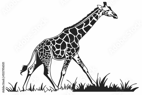 giraffe sihouette black vector