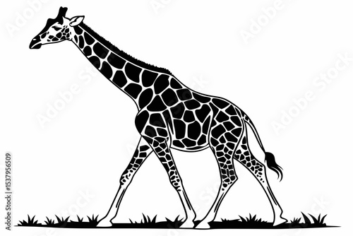 giraffe sihouette black vector