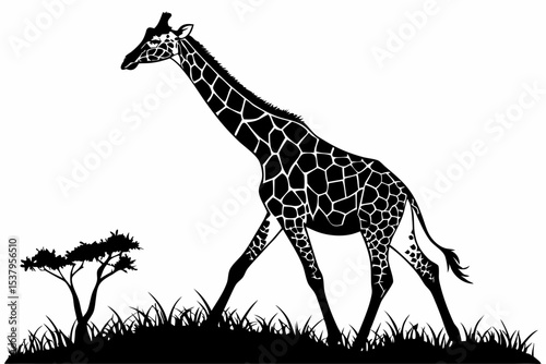giraffe sihouette black vector