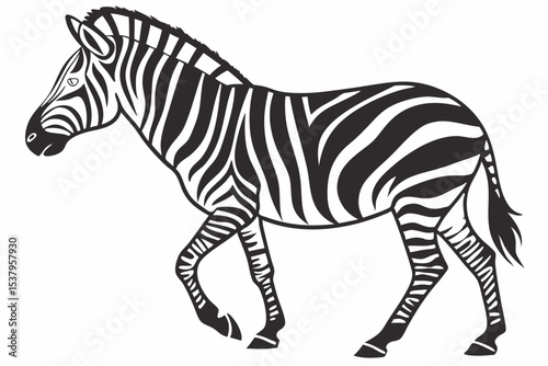 zebra silhoette black vector