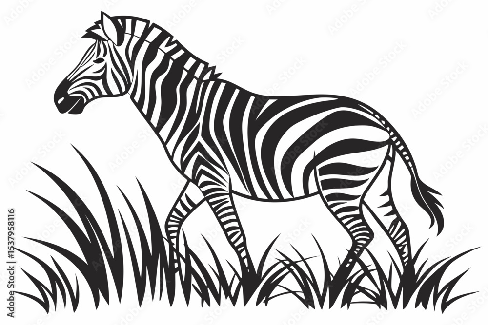 Fototapeta premium zebra silhoette black vector