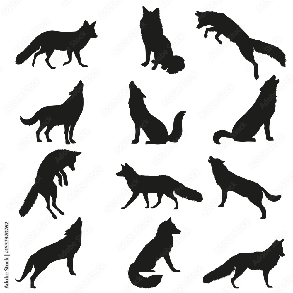Obraz premium Set of Fox Vector File