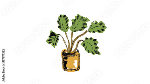 green plant isolated on white