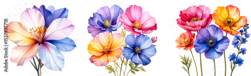 A vibrant collection of colorful flowers showcasing nature's beauty and diversity.