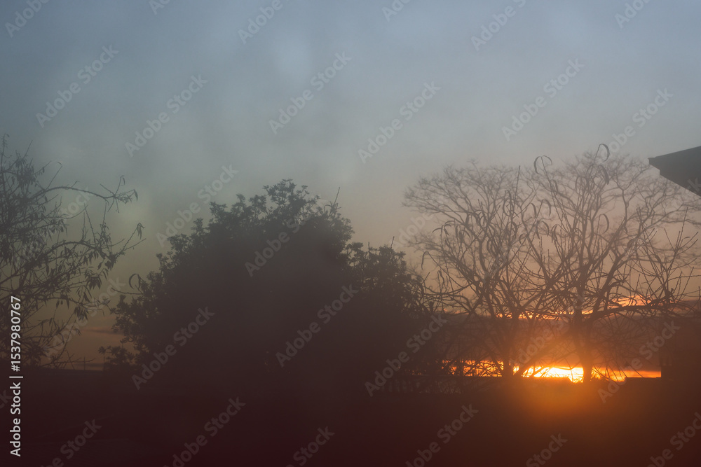 Obraz premium sunrise through fogged up window with droplets and silhouettes of trees and houses