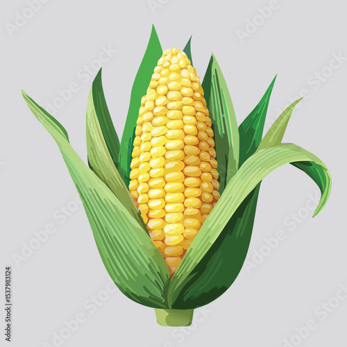 Fresh Yellow Corn on the Cob Isolated on White Background – Close-Up of Organic Sweet Maize, Perfect for Food and Agricultural Concepts