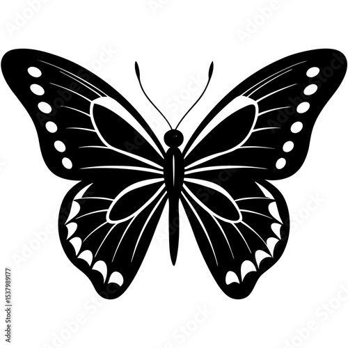 butterfly on white background