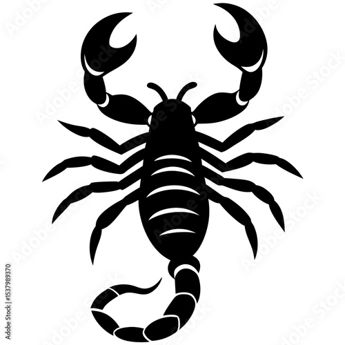 scorpion silhouette isolated on white