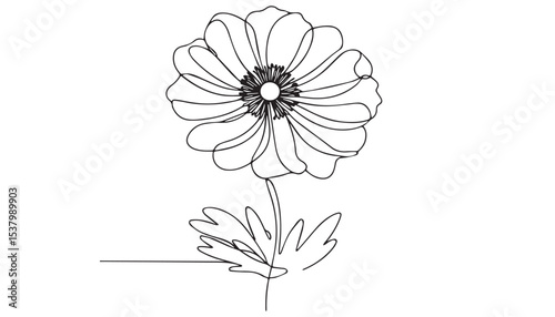 Continuous one single minimal line drawing Corn poppy flower