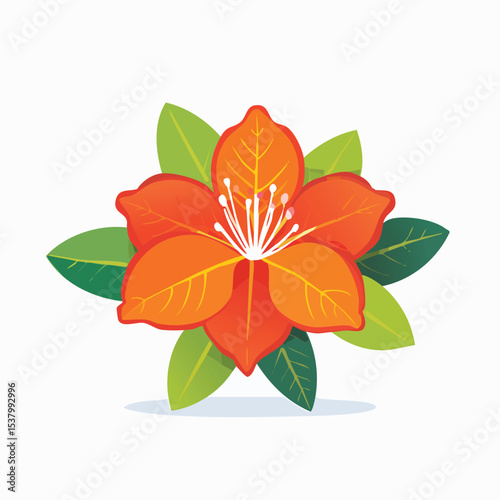 Flame Azalea (Rhododendron calendulaceum) in Bloom – Perfect for Nature and Botanical Use

