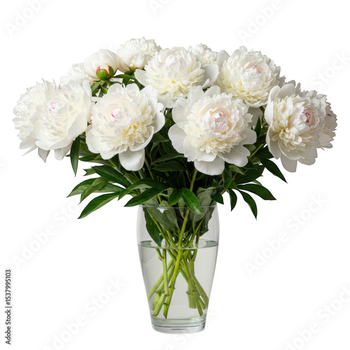 Elegant bouquet of white peonies in a glass vase isolated on transparent background
