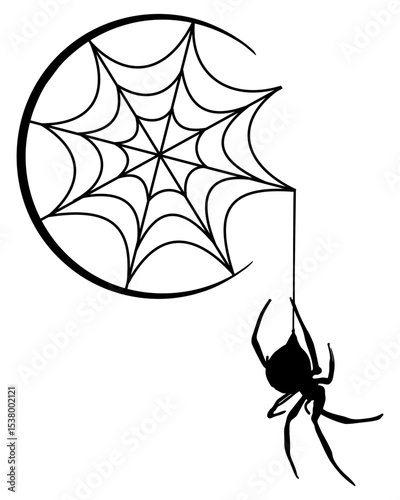 silhouette of spider and web on tree branch
