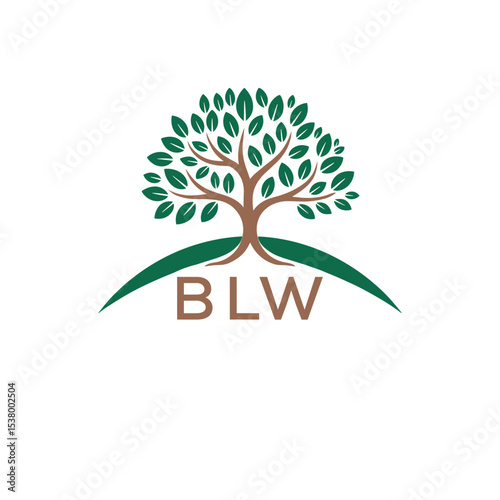Initial BLW Letter Linked Logo for business and company identity. Modern BLW Letter Logo Vector Template with modern trendy golden logo.
