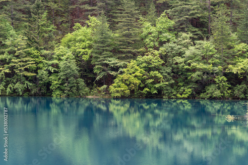 Jiuzhaigou, China: Reflection of the ancient forest in the clear water of the Mirror lake in the Jiuzhaigou scenic area in the mountain of Sichuan in Southwest China