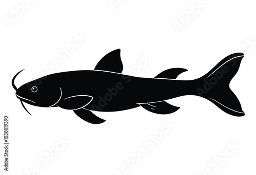 Catfish silhouette vector illustration simple catfish outline icon Illustration.