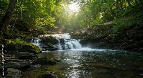 Flowing River Through Lush Green Forest with Sunlight and Rapids