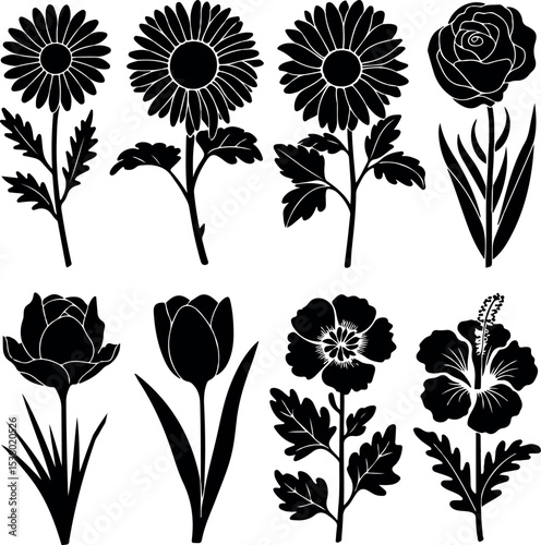 Vector Flower Silhouettes Collection. Black Floral Silhouettes on White. Botanical Silhouette Illustration Pack. High-Quality Flower Silhouettes for Design. Versatile Floral Vector Pack
