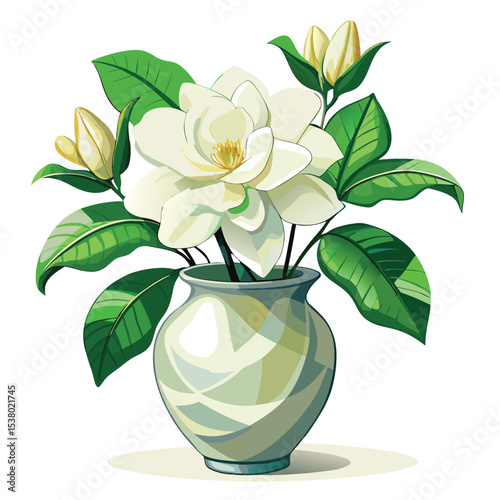 beautiful gardenia flower 