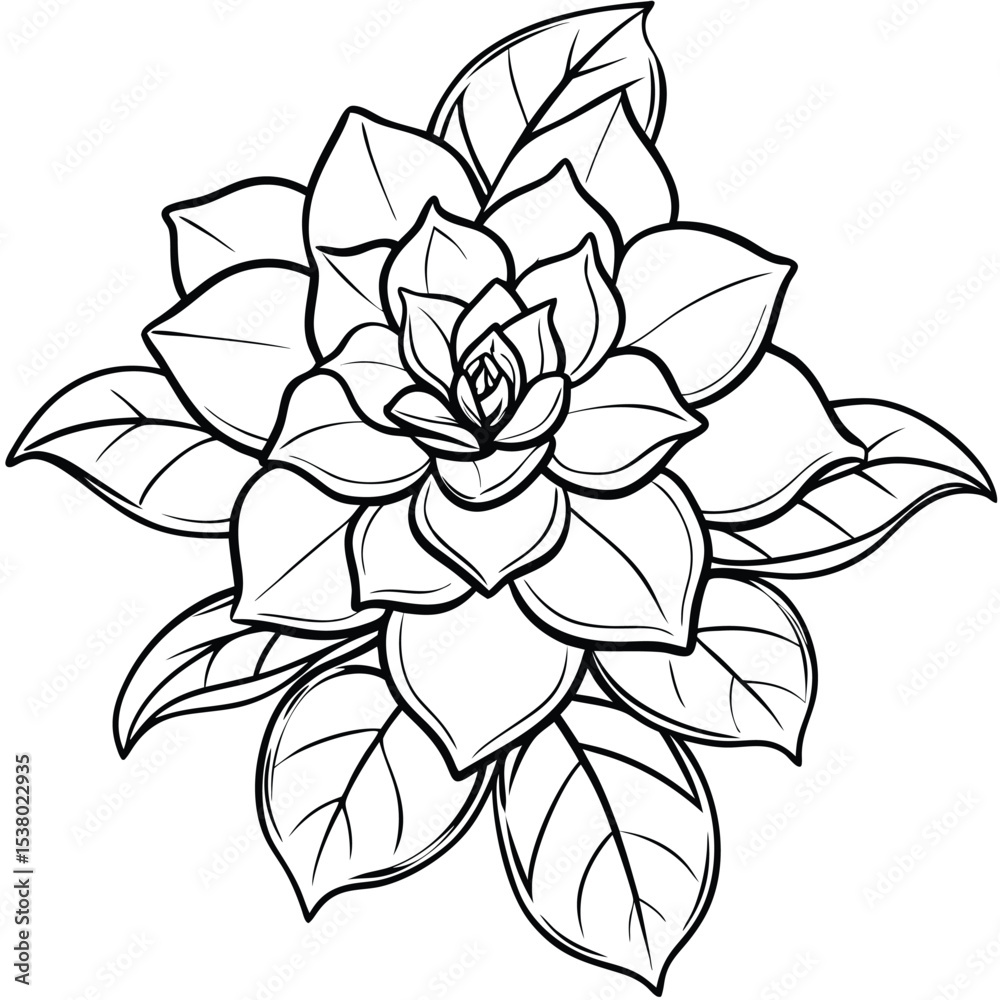 beautiful gardenia flower beautiful gardenia flower