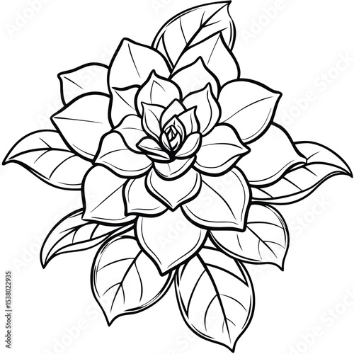 beautiful gardenia flower 