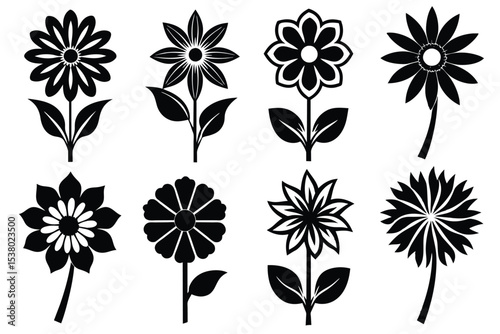 Elegant Black and White Flower Illustrations A Collection of Eight Unique Floral Designs