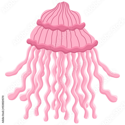 A jellyfish isolated on a transparent background.Vector illustration of a marine animal.